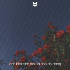 anh biet tinh dau la tinh do dang - daz