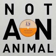 PREMIERE: Ian Blevins - Air Penguin [Not An Animal]
