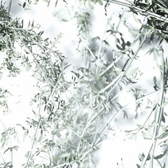 These Are The Words - Vocal Salad Remix