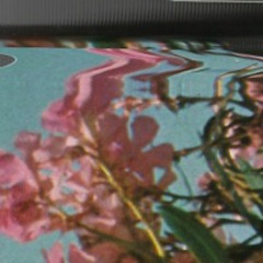 Ko Bo Konec Sveta Feat. Sara Sajovec