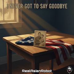 I Never Got to Say Goodbye