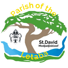 22 June 25  Tim McGowan 'Don't look back'  St David's  7:30am
