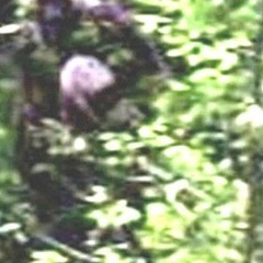 ig I sold my soul for this fucked up life - prod.(SPHYNX)