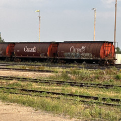 California til’ the end (live from home)