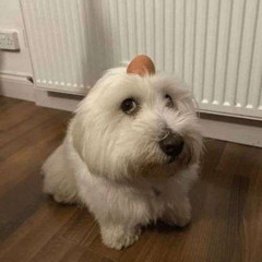 Narcotics (prod. glinkli)