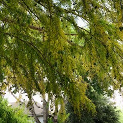 Follow me on a lunchtime walk