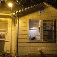 i have more than enough.m4a