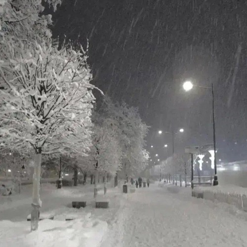 YungFLUiD - PHONK / FUNK - 2