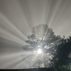 loaded up (Prod. Cullen)