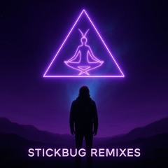 Remixes