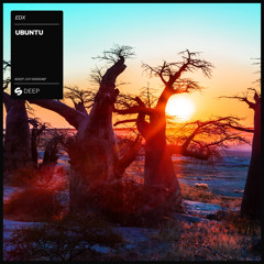 Ubuntu (Tribal Mix)