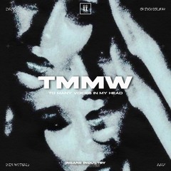 TMMW - To Many Voices In My Head [II130S]