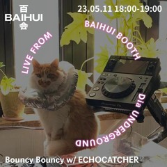 BOUNCY BOUNCY w/ echocatcher - 11 May 2023