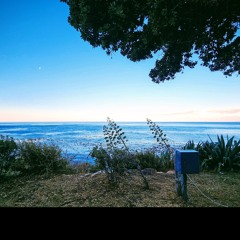 The Waters