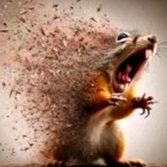 Affirmations Bass Boosted FLippa T.mp3