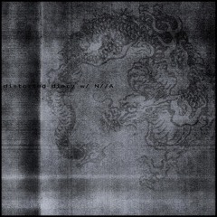 distorted diary w/ N//A