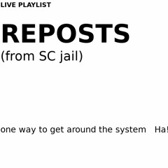 EN_PUNITION_REPOSTS_10