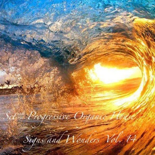 Signs and Wonders Vol. 14