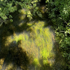 Phantom of the Isthmus Radio Show #092 Pt 1