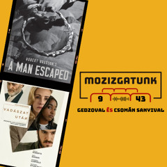 Mozizgatunk 9dik évad - Negyvenharmadik rész 2025 10 22