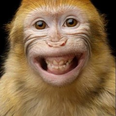 GAK MAU GAK SUKA GELAY! DJ ODADING X BILA DIA MENYUKAIKU X TUMANEDANG JUNGLE TIK TOK VIRAL 2021