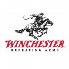 Winchester (Demo)
