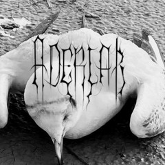 Mental Issue | Live W/O Vocals