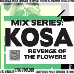 SHNGMIX28 Revenge Of The Flowers Mix Series - Kosa