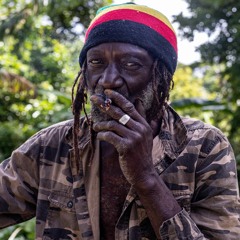 THE OLD RASTA