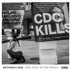 377 / Antivirals Now / Long Covid Action Project