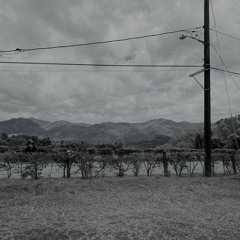 I Love You, It's A Fever Dream (Cover)