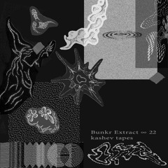 Bunkr Extract ∞22 w/ ORG
