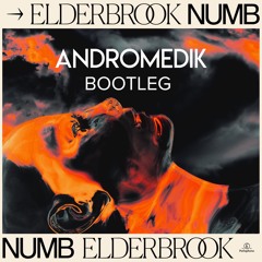 Elderbrook - Numb (Andromedik Bootleg)