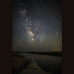 Crickets Slowed Down 800 times