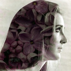 when lilacs
