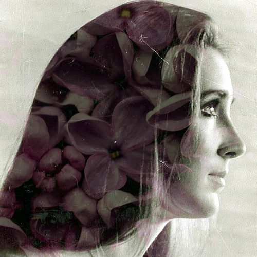when lilacs