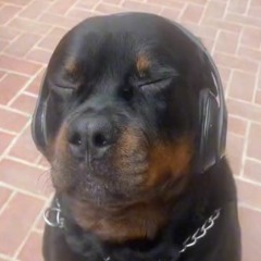 i'm listening... 🎶