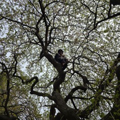 Outsiders: Through The Canopy.fm w/ James Bangura & Nocturnal Wax @ Kiosk Radio 12.04.2025