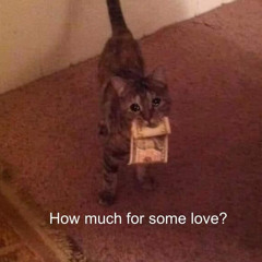 “ Long huk khn phi karn “ - Ynorn