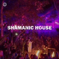 Shamanic House by ELEVIN