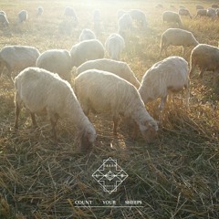 CountYourSheep$