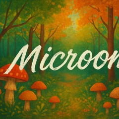 Microom #2 GRØØVE SĘSS