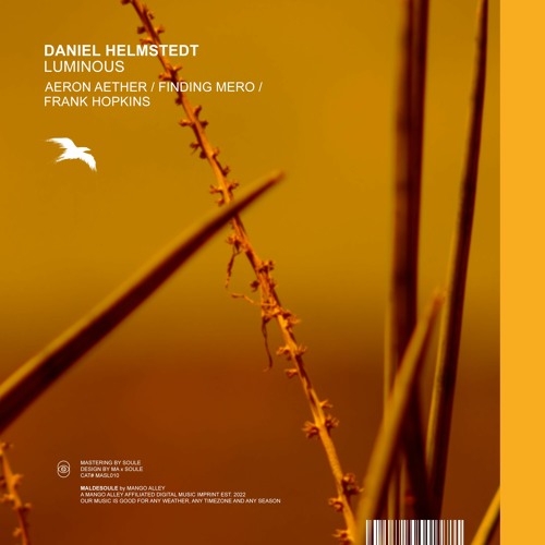 DANIEL HELMSTEDT - Luminous