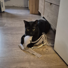 Fondly Treated • Guest Mix by Maaantz w/ Sofia Stergiou (13.12.2025)