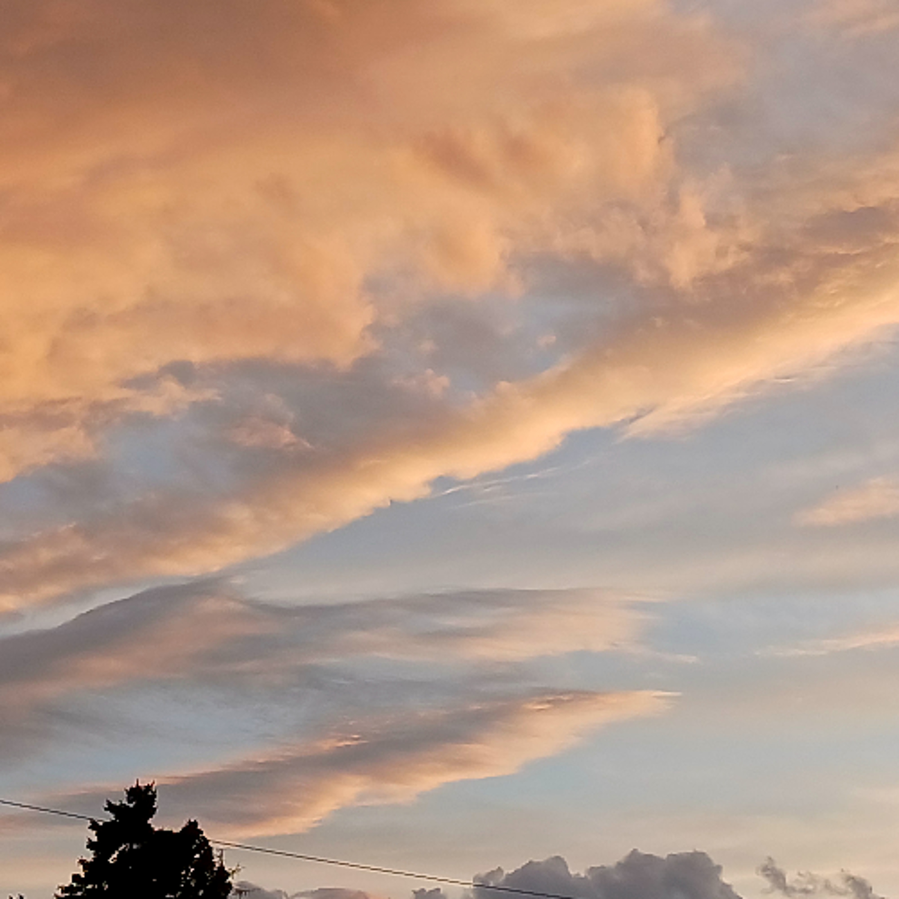 Forecast from Monday, 6-29-26