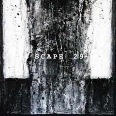 SCAPE 29