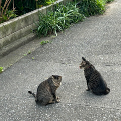 theres something in the air