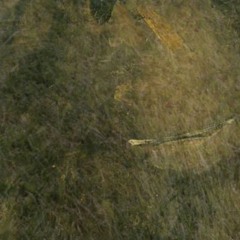 it's the little things