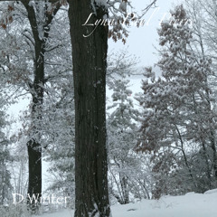 D Winter