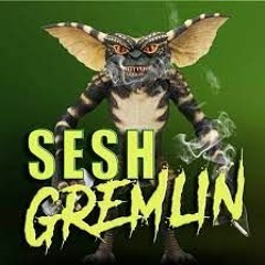wsg